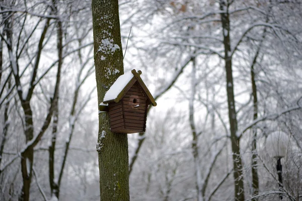 Коробка для гнезд под снегом зимой — стоковое фото