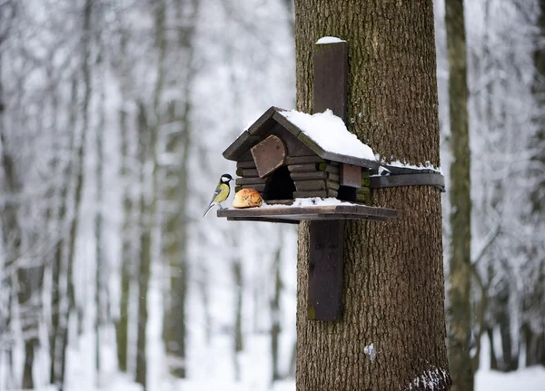 Caixa de nidificação sob neve durante o inverno — Fotografia de Stock