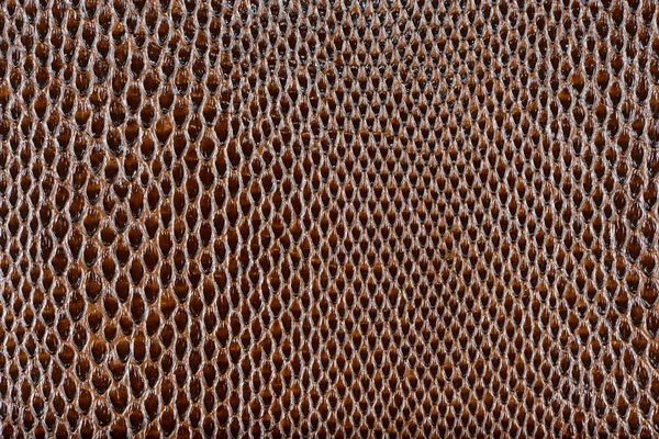 Brown artificial leather snake texture background — Stock Photo, Image