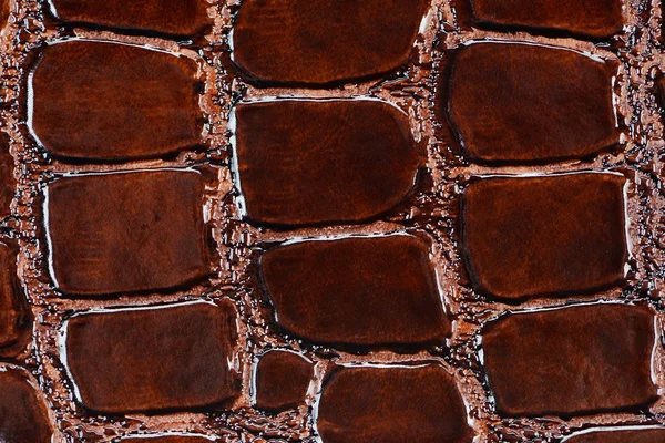 Couro sintético marrom com textura em relevo — Fotografia de Stock