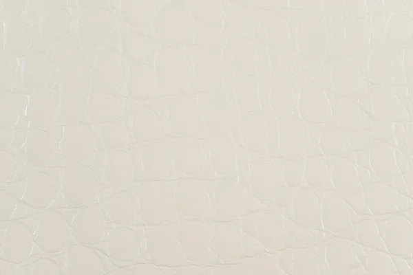 Hayalet beyaz sentetik deri ile kabartmalı — Stok fotoğraf