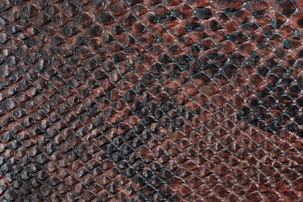 Коричневий штучна шкіра з рельєфним текстурою Ліцензійні Стокові Фото