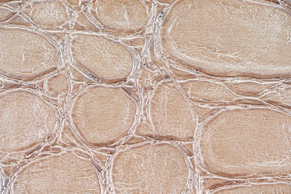 Синтетическая кожа MistyRose с тисненой текстурой Лицензионные Стоковые Изображения