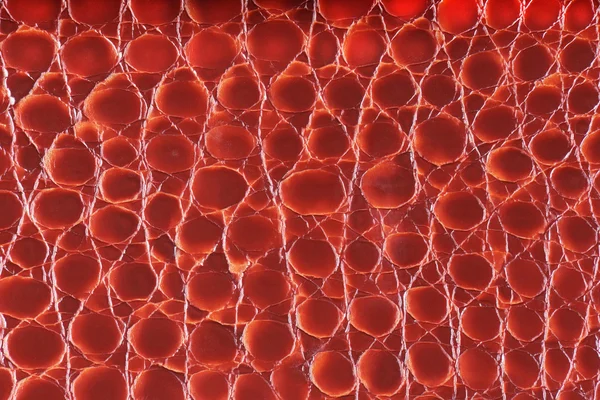 Томатна синтетична шкіра з рельєфною текстурою Стокова Картинка