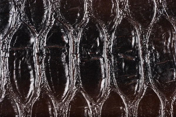 Couro sintético marrom escuro com relevo — Fotografia de Stock