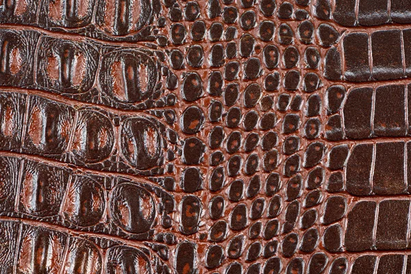 Saddle Brown leatherette with embossed texture — Stock Photo, Image