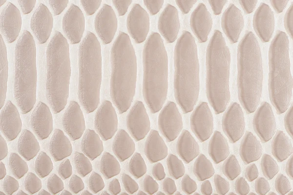 Sea shell synthetic leather with embossed — Stock Photo, Image