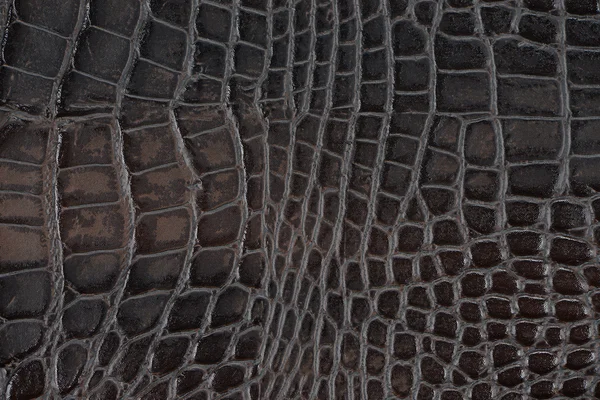 Чорна синтетична шкіра з рельєфною текстурою Стокове Зображення