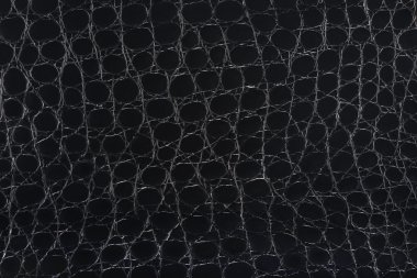 siyah sentetik deri ile kabartmalı