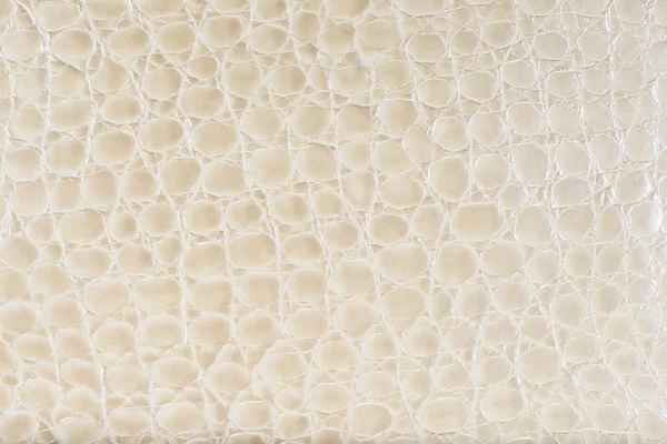 Ivory synthetic leather with embossed — Stock Photo, Image