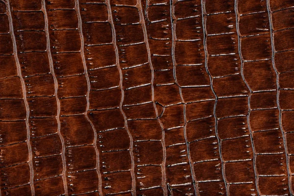 Saddle brown synthetic leather with embossed — Stock Photo, Image