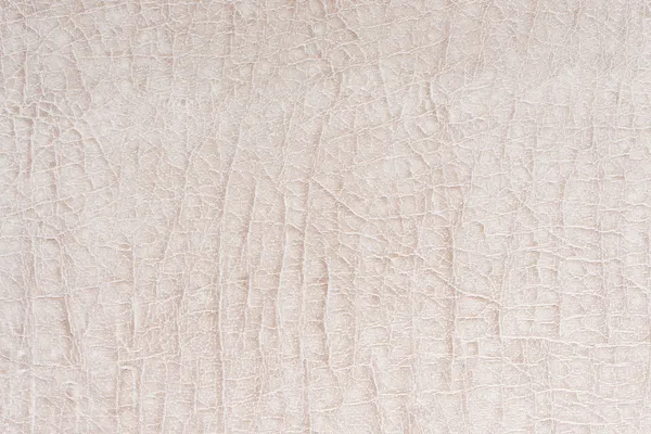 Античная белая синтетическая кожа с тиснением — стоковое фото
