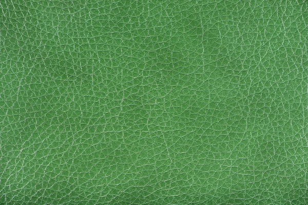 Forest green leather background texture — Stock Photo, Image