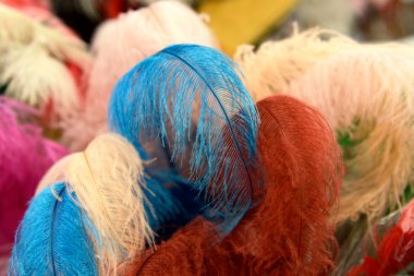 piume colorate, sfondo, trama