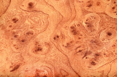 Lamine kontrplak üzerine çizim. arka plan