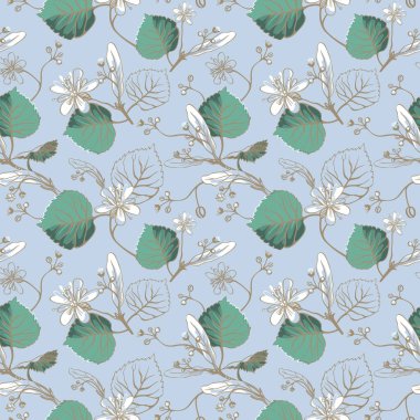 Vektör ile ıhlamur çiçek çiçek seamless modeli. Kumaş için çizilmiş Eko tasarım el ve şal kağıt, ambalaj-çay, petrol, kozmetik vb..