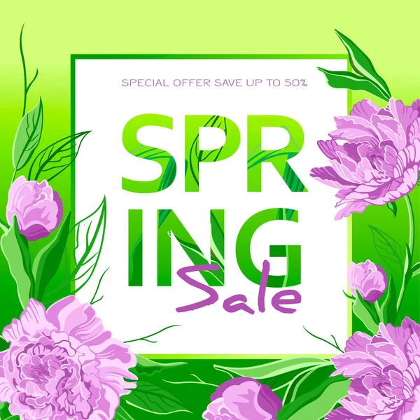 Primavera Venda Fundo Com Flores Peônias Placa Primavera Cartaz Panfleto — Fotografia de Stock