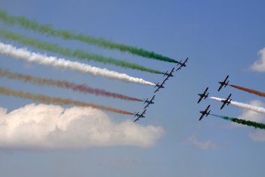 benim diğer pilotlar güven