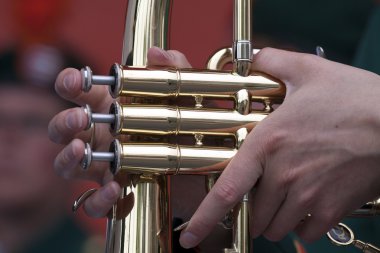 Hollanda Yeldeğirmeni