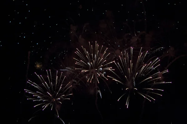 Fuegos artificiales en la noche — Foto de Stock