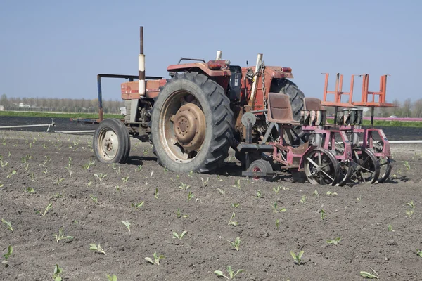 Farm tractor — Stock Photo, Image