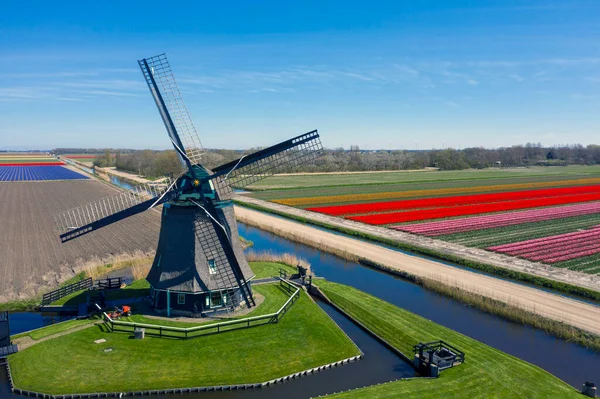 Dutch wooden windmill with a beautiful tulip landscape. Tipically Dutch photo,