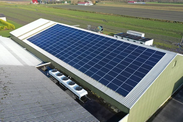 Güneş ışığıyla maviye boyanmış bir şirketin çatısındaki güneş panelleri. Güneş panelleri güneş ışığından enerji elde etmek için ucuz ve sürdürülebilir bir yoldur. Fotoğraf, uçan bir dronla çekildi.