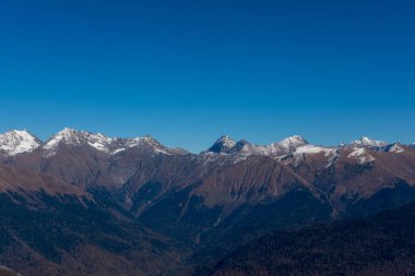 Rusya 'nın Sochi kentindeki 