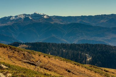 Rusya 'nın Sochi kentindeki 
