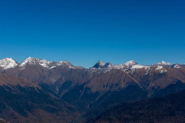Rusya 'nın Sochi kentindeki 