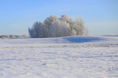 Sabahın erken saatlerinde Hoarfrost güzelliği