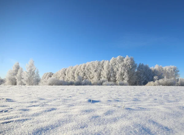 Sabahın erken saatlerinde Hoarfrost güzelliği