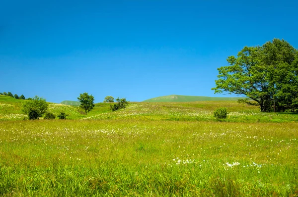 Landscape Karachay Cherkess Republic Picturesque Rolling Hills Green Meadows Lonely — Stockfoto