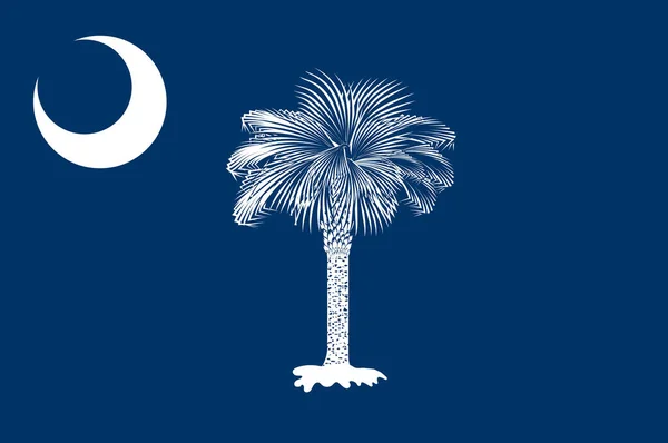 Σημαία Της Νότιας Καρολίνας Είναι Μια Πολιτεία Στην Παράκτια Νοτιοανατολική — Φωτογραφία Αρχείου