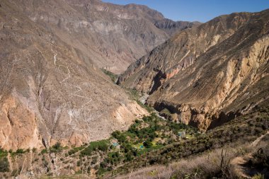 Oasis colca kanyon içinde