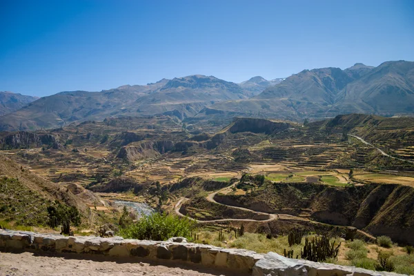 Colca canyon dan üst yol — Stok fotoğraf