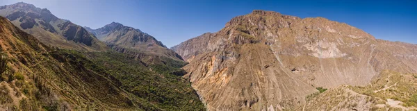 Colca canyon on the trail panorama shot — Zdjęcie stockowe