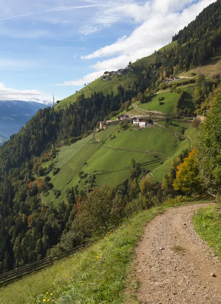 Alpine pasture with hiking road — Stock Photo, Image