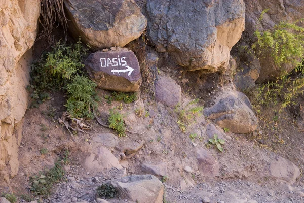 Signo de oasis en el cañón de la colca —  Fotos de Stock