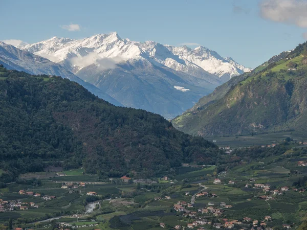 Vale do vinschgau — Fotografia de Stock