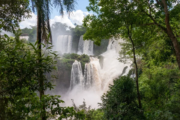 L'Iguacu tombe en Argentine Brésil — Photo