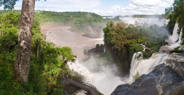 The Iguacu falls in Argentina Brazil in the middel of the rainforrest — Stock Photo, Image