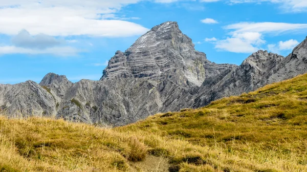 Impressionante pico alpino com grama amarela — Fotografia de Stock