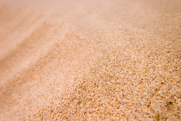 Grain de sable avec profondeur de champ — Photo