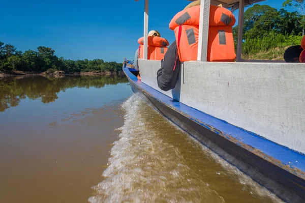 Exploring the rainforrest near the Amazonas — Stock Photo, Image