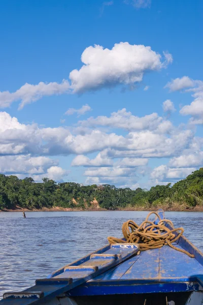 Perulu rainforrest dikey tekne — Stok fotoğraf