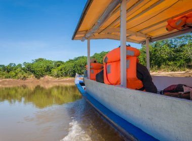 Exploring the rainforrest near the Amazonas