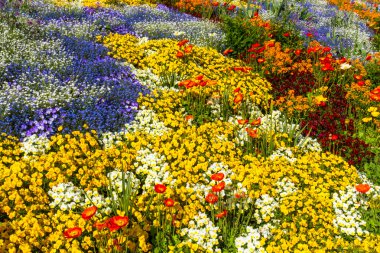 Flower bed top view in different colours clipart