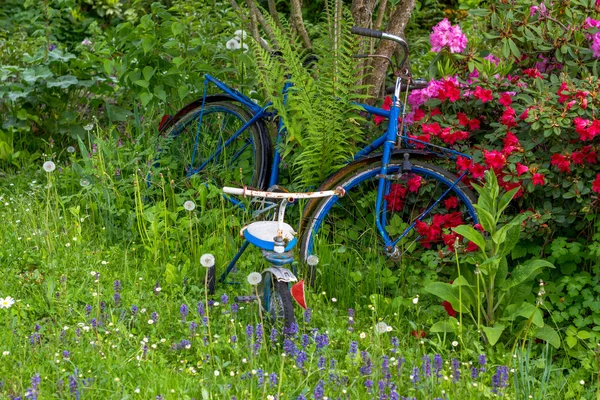 Old bike between flowers in a garden with three wheeler — Stock Photo, Image