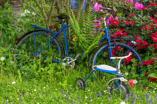 Old bike between flowers in a garden with three wheeler — Stock Photo, Image